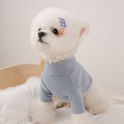 nice dog 강아지 가을 솔리드 이너 티셔츠, 블루