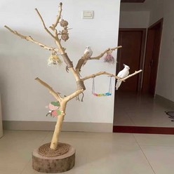 나뭇가지 새 놀이터 앵무새 원목 횟대 장난감 대형 나무 새장, 1.2m, 1.2m 높이의 등대