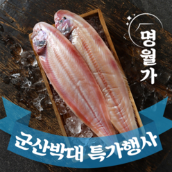 [특가행사] 반건조 군산 박대 서대 말린 생선 구이용 조림용 진공포장, [중] 26~29cm 10마리, 1박스