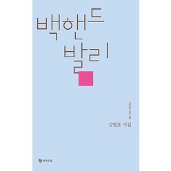 백핸드 발리:김병호 시집, 문학수첩, 김병호