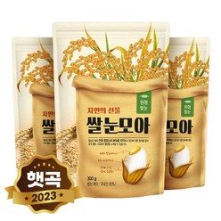 현대농산 국산 쌀눈 900g (300gx3봉), 3개