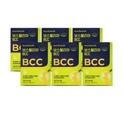 뉴트리원 정우성 관절 연골 보스웰리아 BCC 비씨씨 900 mg X 30정 + 청소박사, 6박스