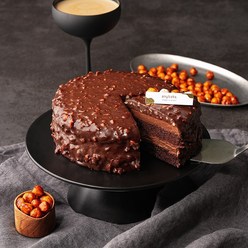 애니베이크 헤이즐넛 초콜릿 케이크 460g, 1개