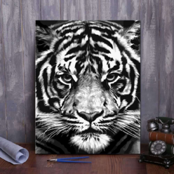 유화그리기세트 호랑이그림 흑백그림 diy명화그리기, 40x50