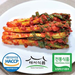 태서식품 태백고원 파김치, 3kg, 1개