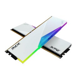 [ADATA] XPG DDR5-6000 CL30 LANCER RGB 화이트 패키지 (32GB(16GBX2))