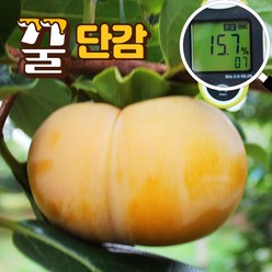 골진 단감 차량 단감, 2kg 중과(12개내외), 1개