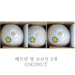 [프리미엄등급] 화이트 영코코넛(coconut) 1box (12과 3과), 3개