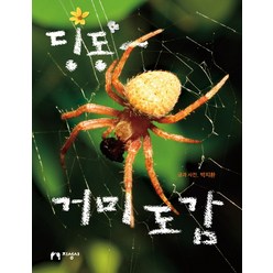 딩동~ 거미 도감:, 지성사, 딩동 도감 시리즈