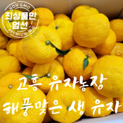 국산 고흥 새콤달콤한 23년 햇 생 유자 5kg, 1박스, 햇 생유자 5k(중소과)