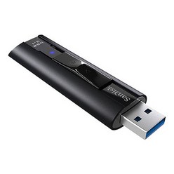 [SanDisk] USB EXTREME PRO USB 3.1 Z880 [128GB/블랙] [CZ880-128G-G46], 단일 저장용량