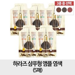 하라즈 샴푸형 앰플 염색 염색제 와인브라운5팩, 와인 브라운, 1개