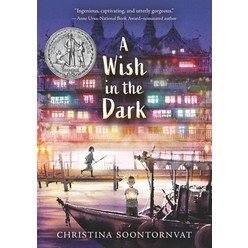 A Wish in the Dark, Candlewick