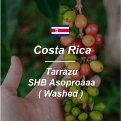 [커피생두] 코스타리카 SHB 따라주 프리미엄 라 파스토라 1kg, 1개