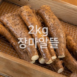 태산농장 마 안동마, 2kg (장마 알뜰), 1개
