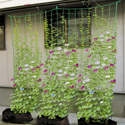 넝쿨식물재배용그물 Gardening Network 식물넝쿨그물 재배망 식물커튼 가든네트 그물 원예용, 넝쿨그물 1.8x3.6m, 1개