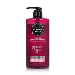 엘라스틴 카멜리아블랙 데미지 리페어 샴푸 1000ml 샴푸 트리트먼트 270633, ES 카멜리아 데미지 리페어 샴푸, 1개