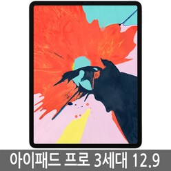 아이패드 프로3세대 12.9 iPad Pro WiFi/LTE 정품, 와이파이, 64GB