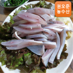 [자연산] 당일조업 생물 병어 1kg 병어회 선도보장, 병어(중소) 1kg 10-12미, 비손질, 1개