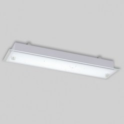 비츠온 18W LED 주광색 유리 채송화 직사각 주방조명 부엌등 천장전등 53cm