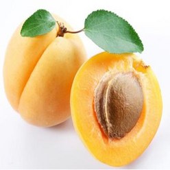 살구씨오일 100ml/살구씨유/클렌징오일/캐리어오일/Apricot kernel oil/천연화장품, 1000ml, 1개