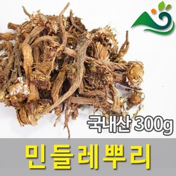 민들레뿌리(300g)-국내산, 300g, 1개