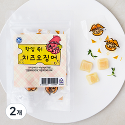 [로켓프레시] 건어물학교 한입 쏙 치즈오징어 10p