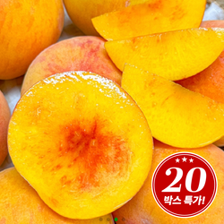 [역마진특가]하루20박스한정 초고당도 황도복숭아
