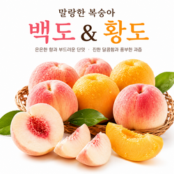 산지직송 햇수확 말랑이 복숭아, 황도 백도 털복숭아, 고당도 꿀복숭아, 당일수확 중대과, 2kg 4kg