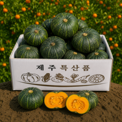 [폭탄세일] 고당도 정품 제주 밤호박 보우짱, 1박스, 3kg(로얄과)
