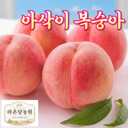 복숭아 아삭이복숭아 당일수확 산지직송 아삭아삭 복숭아, 1박스, 아삭이 복숭아 2kg 5~7과