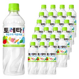 토레타 이온음료 500ml 24개, 시원한 여름을 준비하세요!