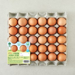 곰곰 무항생제 자연방사 유정란