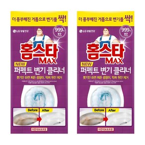 홈스타 맥스 퍼펙트 변기 클리너