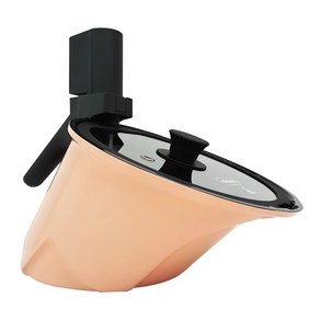 바이탈플랜트 롤팬 인덕션 뉴오리지널 자동회전냄비 케요네즈, 25cm, 1개