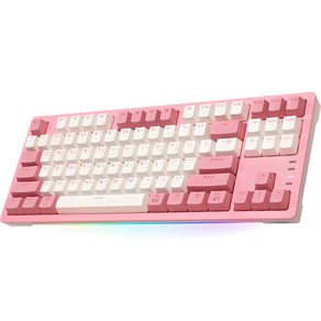 앱코 RGB BAR 기계식 유선 텐키리스 키보드