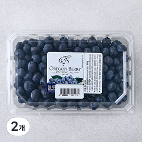 H&B 미국산 블루베리, 310g, 2개