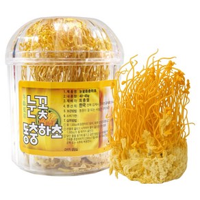 동광종합물산 눈꽃동충하초, 40g, 1개