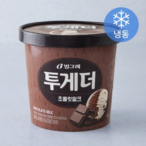 빙그레 투게더 초콜릿밀크 (냉동), 710ml, 1개입, 1개