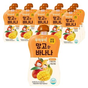 이유케어스 유아용 무럭무럭 과일 퓨레 망고랑 바나나 100g, 망고 + 바나나 혼합맛, 12개
