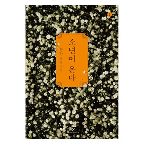 소년이 온다 1 큰글자책