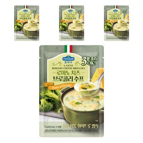 폰타나 라치오 로마노 치즈 브로콜리 수프 파우치, 75g, 4개