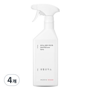 생활공작소 뿌리는 곰팡이 제거제