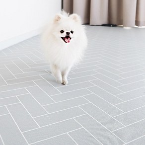 딩동펫 반려동물 미끄럼방지 롤매트