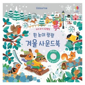 우리 아기 오감발달흰 눈이 펑펑 겨울 사운드북: