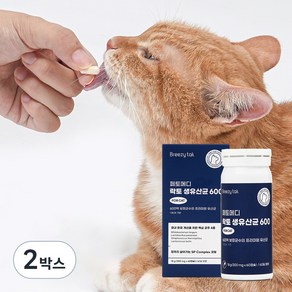 페토메디 고양이 락토 600 캡슐형 영양제 60캡슐 2개월분, 60정, 장건강/유산균, 2개