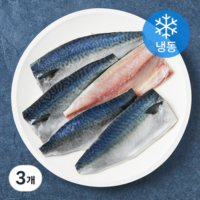 바다찬찬 국내산 우리바다 고등어살 (냉동), 3개, 1kg