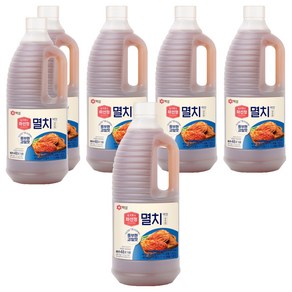 하선정 멸치 액젓, 3kg, 6개