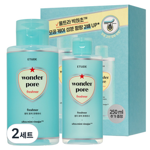 에뛰드 원더 포어 프레쉬너 토너 500ml + 250ml 세트