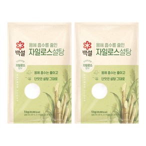 백설 자일로스 설탕, 5kg, 2개